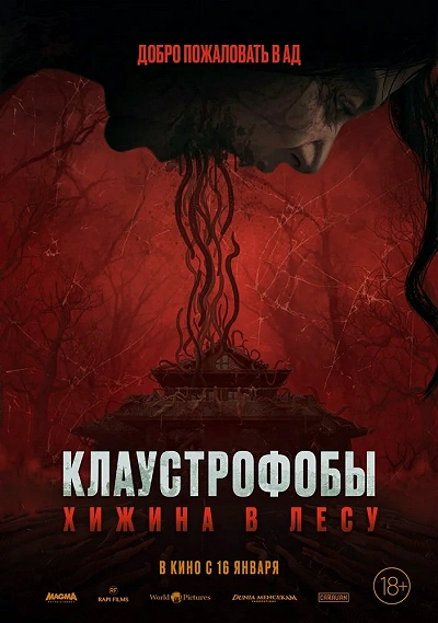 фон