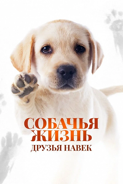 фон
