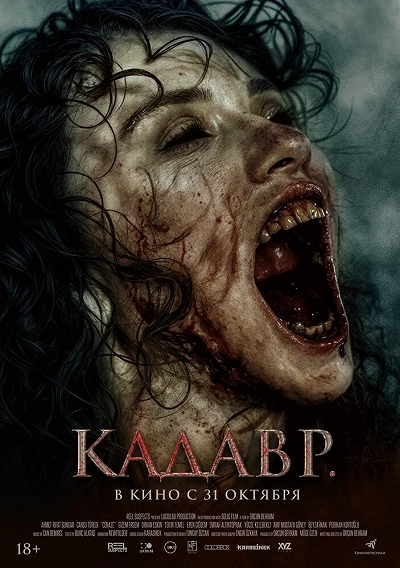 фон