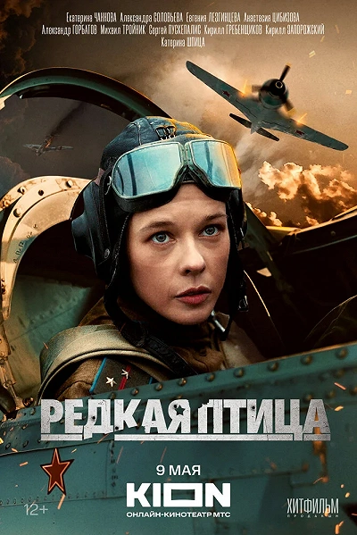 фон