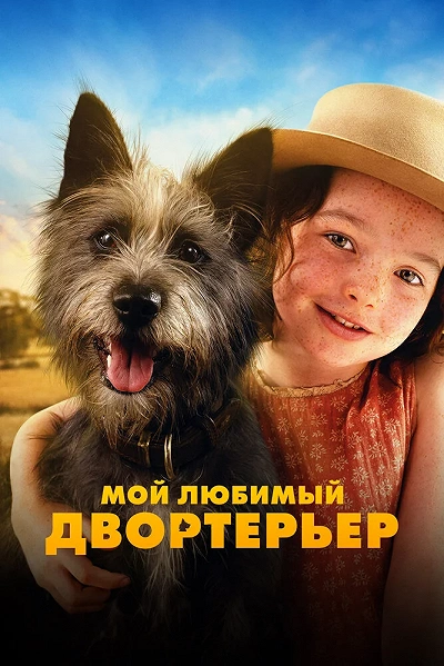 фон