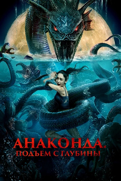 фон