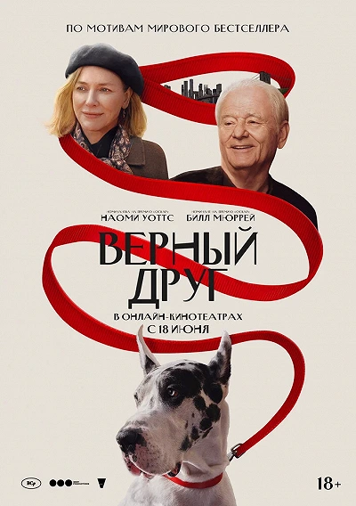 фон
