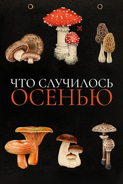 фон